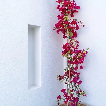 Aparthotel Lemon Santorini 3*